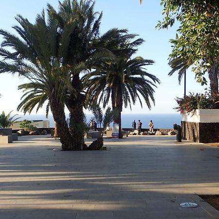 The Bird'S Nest Apartment Puerto de la Cruz  Exterior photo