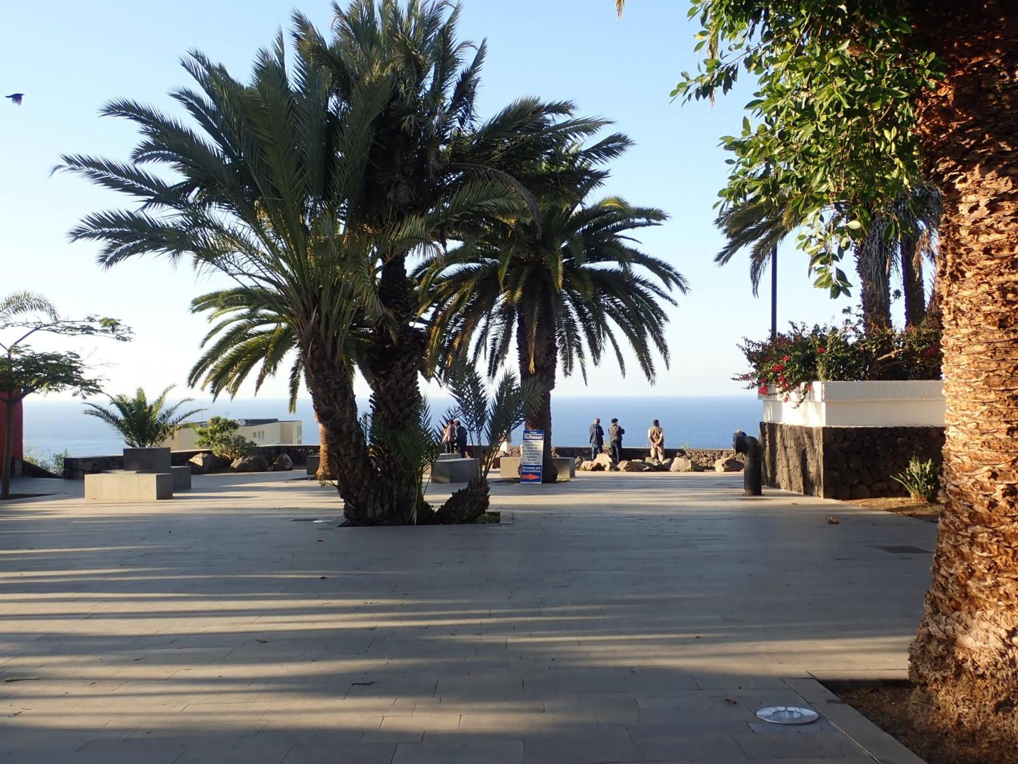 The Bird'S Nest Apartment Puerto de la Cruz  Exterior photo