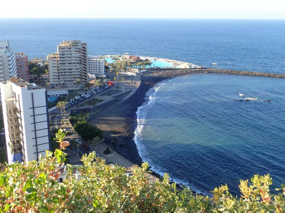 The Bird'S Nest Apartment Puerto de la Cruz  Exterior photo